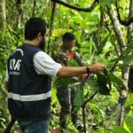 Adaf leva Caravana da Monilíase para Humaitá