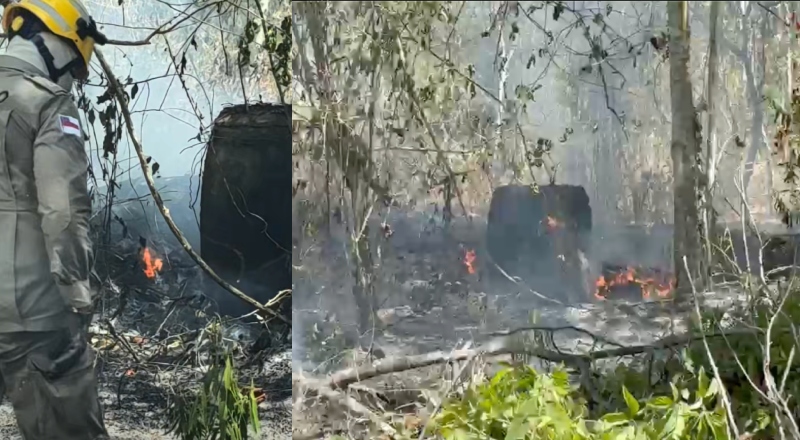 Princípio de incêndio atinge área de mata