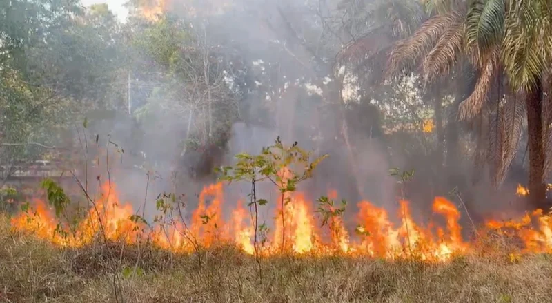 Incêndio atinge área de mata