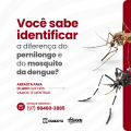 Carrossel---Diferença-do-Pernilongo-e-Mosquito-da-Dengue_01