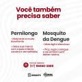 Carrossel---Diferença-do-Pernilongo-e-Mosquito-da-Dengue_04