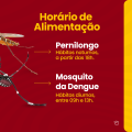 Carrossel---Diferença-do-Pernilongo-e-Mosquito-da-Dengue_02